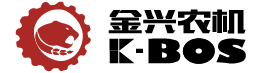 金兴