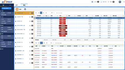 高级计划模型